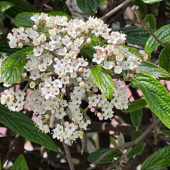 PLEASE, LIKE, FOLLOW & SHARE, SHARE, SHARE! THANK YOU!❤️❤️ - Picture 15 of 16